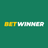 Betwinner Casino logo