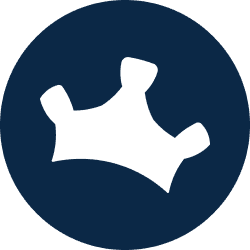 BlueChip Partners logo
