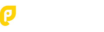 PlayingIO logo
