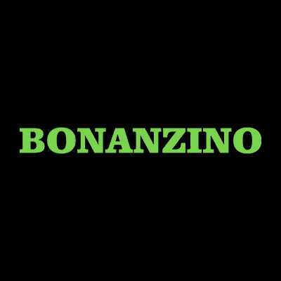 Bonanzino Casino logo