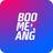 Boomerang Partners logo