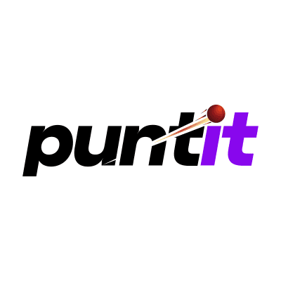 Puntit Casino logo