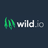 Wild.io Casino logo