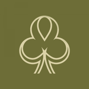 Dublinbet Casino logo